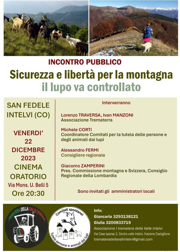 sicurezza e libertà