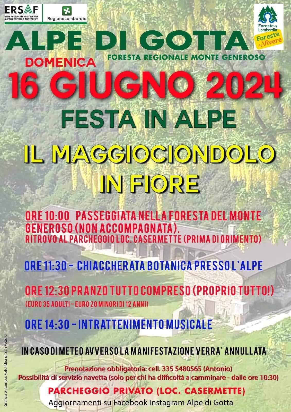 il maggiociondolo in fiore