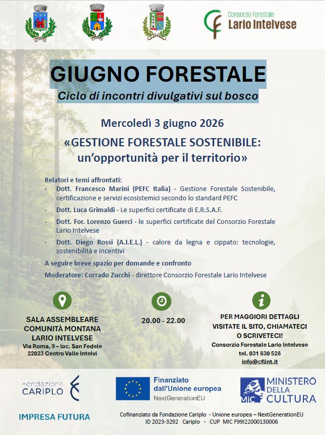 Gestione forestale sostenibile: un incontro dedicato al futuro del bosco