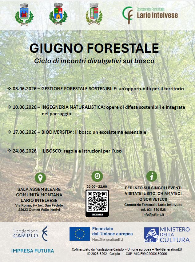 Giugno Forestale: quattro incontri per conoscere e valorizzare il bosco